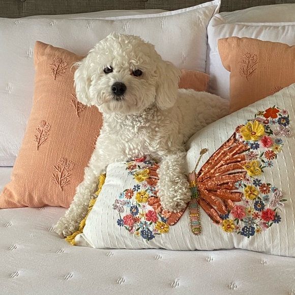 Meet your Posher, Nicole - Picture 1 of 2